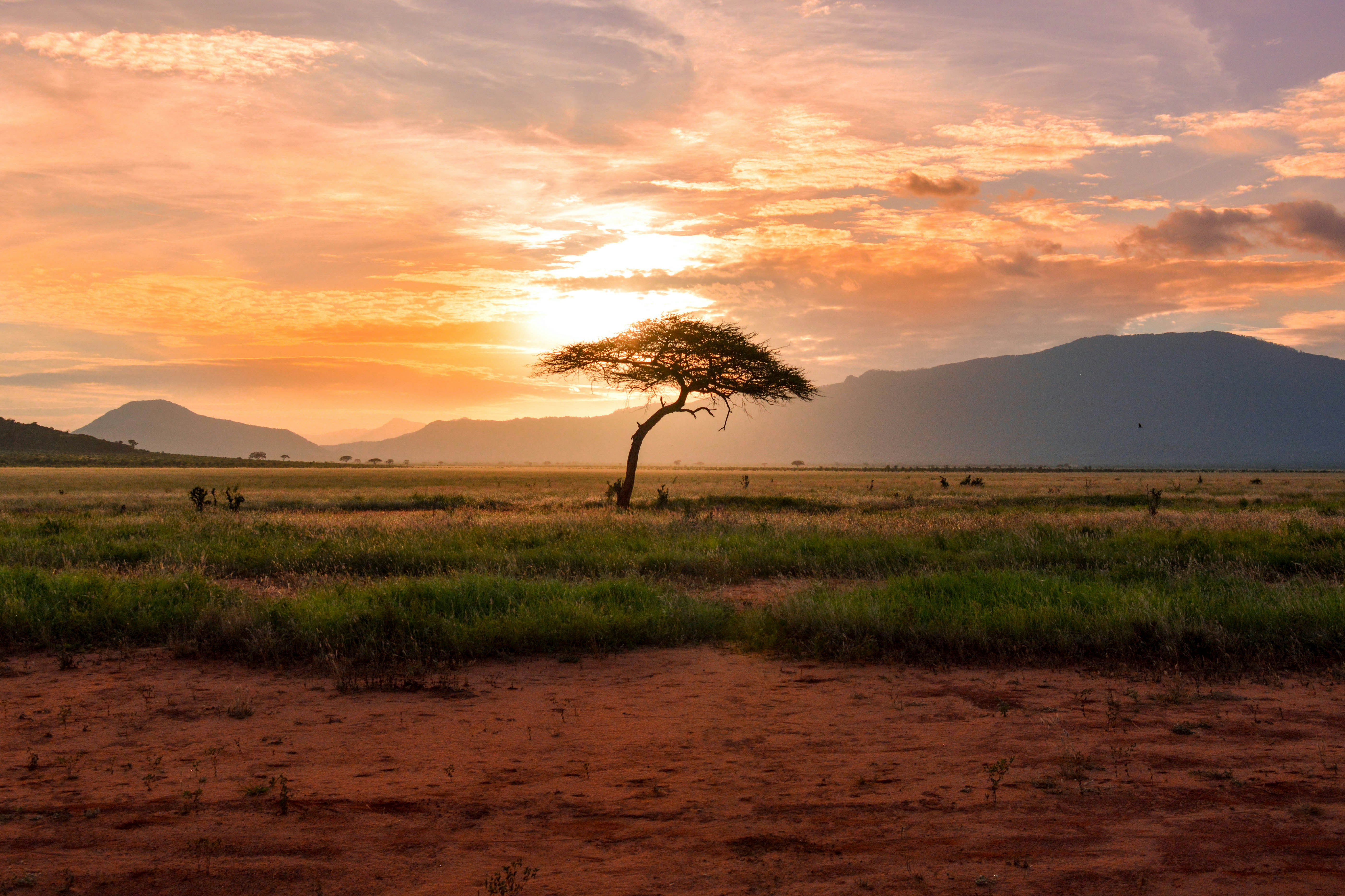 Where The Wild Meets The Wonder - Leyla Safari Tours
