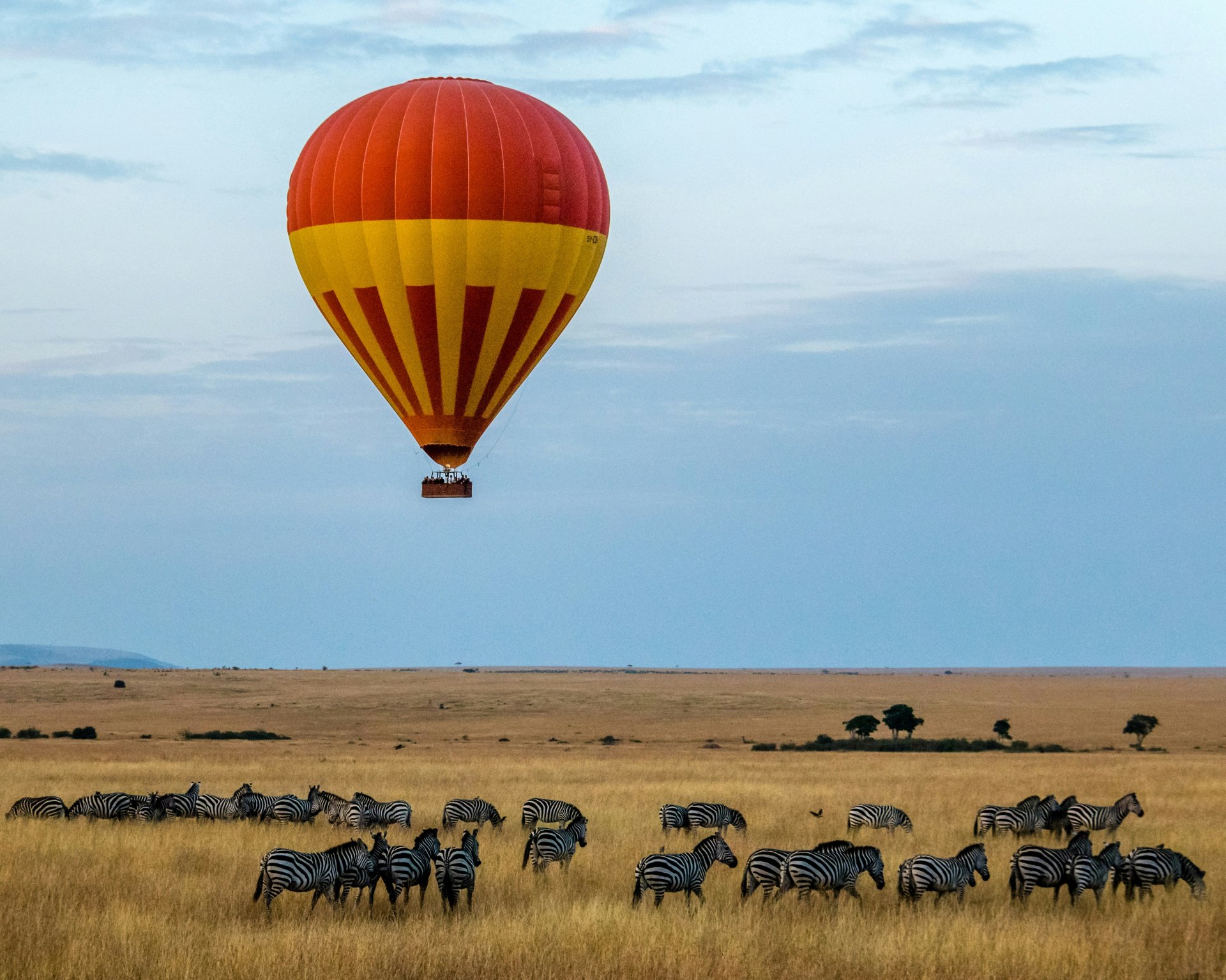Great Migration Safari - Kenya safari tour