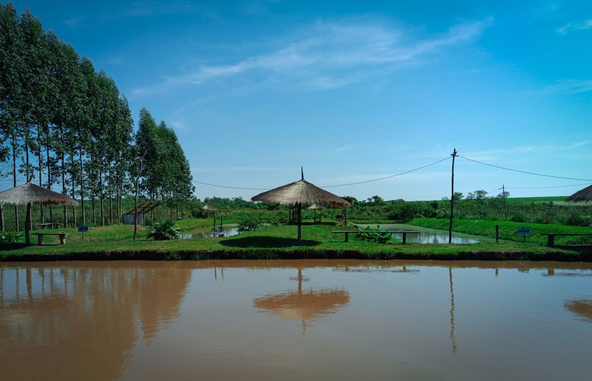 Maasai Mara