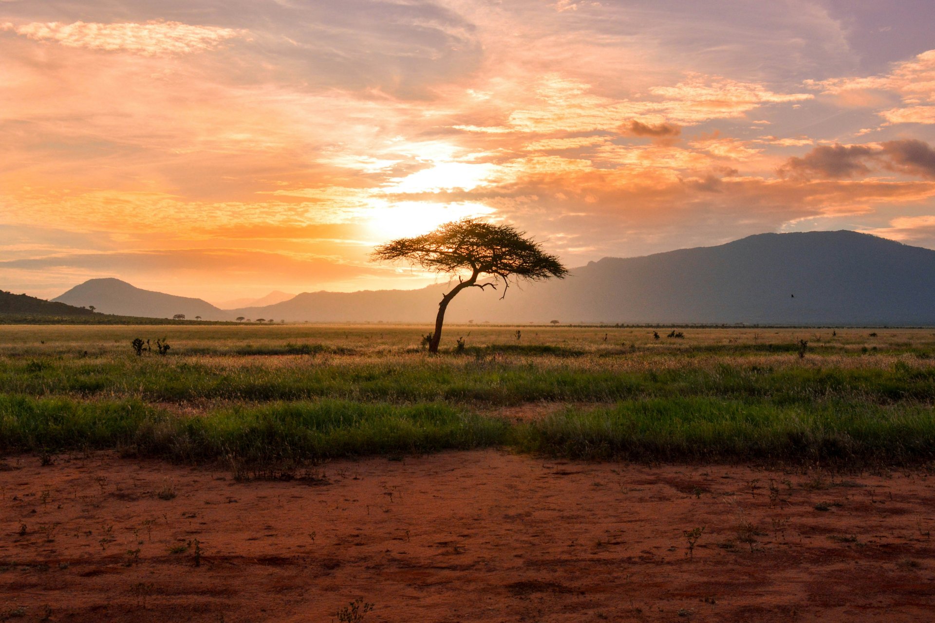 Serengeti